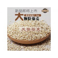 藜麦的营养价值天藜五钻大颗粒藜麦