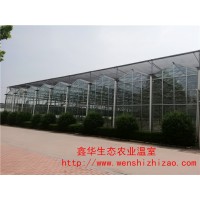 玻璃连栋温室大棚 pc板连栋温室 来图定制新型温室连栋大棚