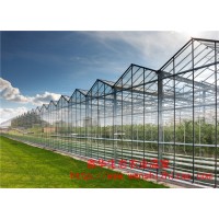 专业建设玻璃温室大棚 蔬菜种植大棚 厂家设计安装专业服务
