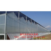 阳光板温室大棚公司 设计加工定制 pc板温室暖棚 质量保证